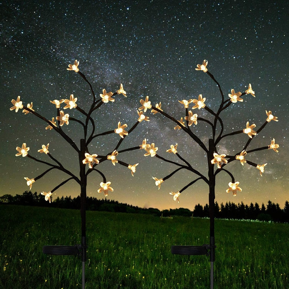 Enchanted SolarScape