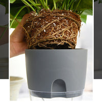 Thumbnail for Self Watering Planter