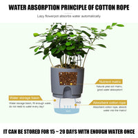 Thumbnail for Self Watering Planter