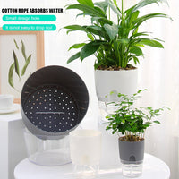 Thumbnail for Self Watering Planter