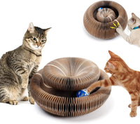 Thumbnail for LIMITED EDITION CAT CORDION
