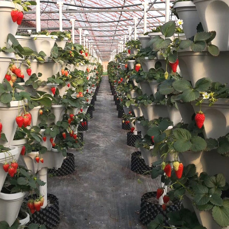 🌼Plant Festival Special -Stand Stacking Planters Strawberry Planting Pots