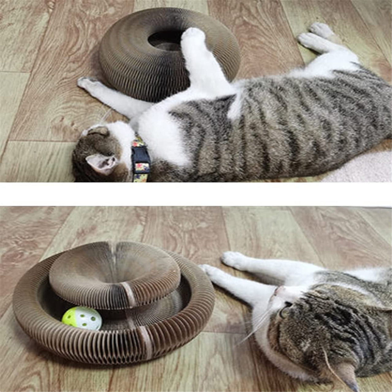 LIMITED EDITION CAT CORDION