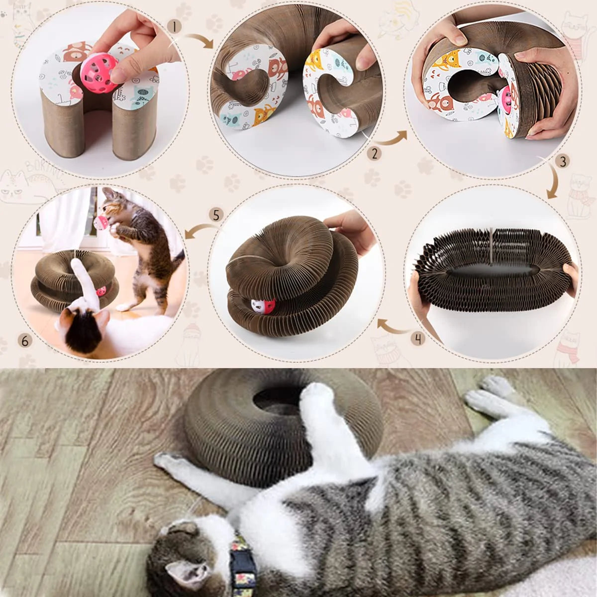 LIMITED EDITION CAT CORDION